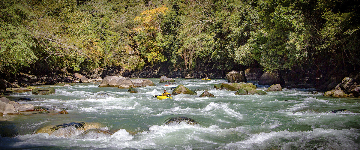 Kayakers lush forest Mangde Chu river trongsa bhutan